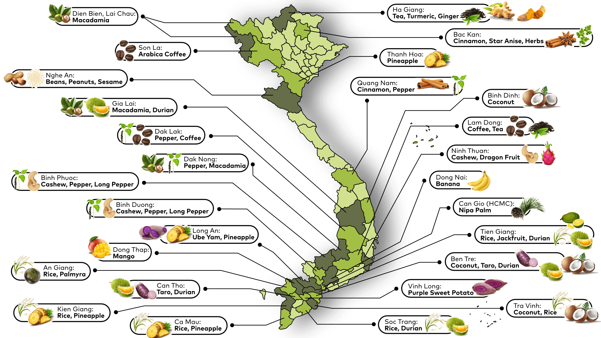 Vietnam foods map